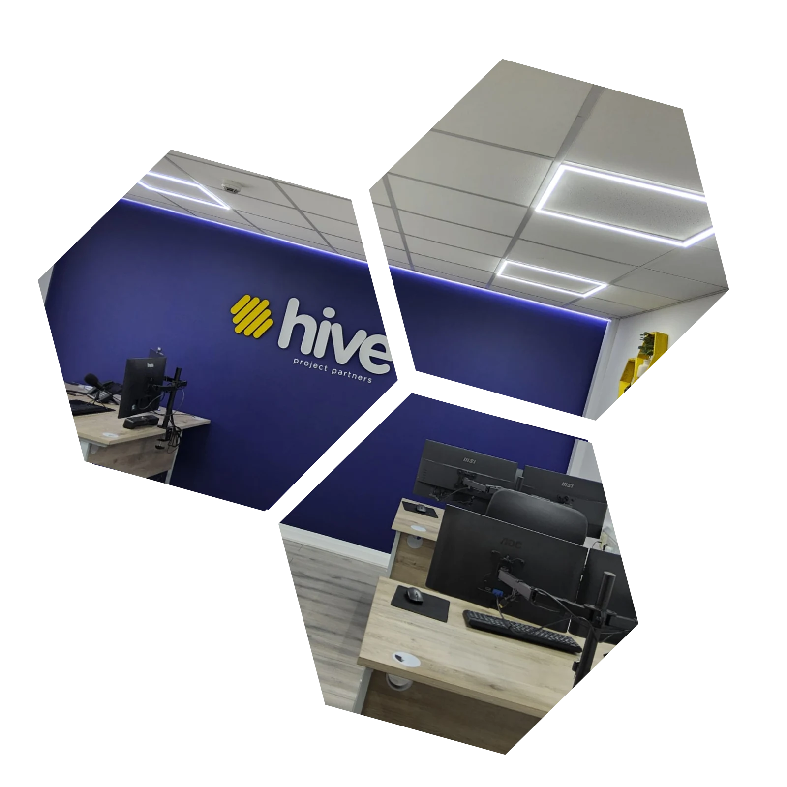 Hive Project Partners — Campaign & Event Management Consultancy